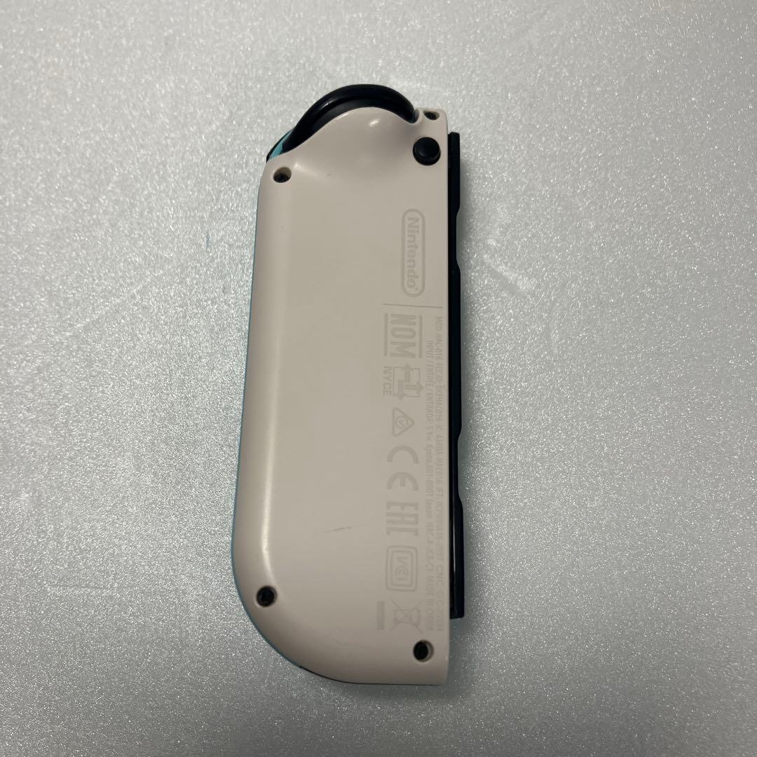 【携帯ケース付】Nintendo Switch あつまれ どうぶつの森セット