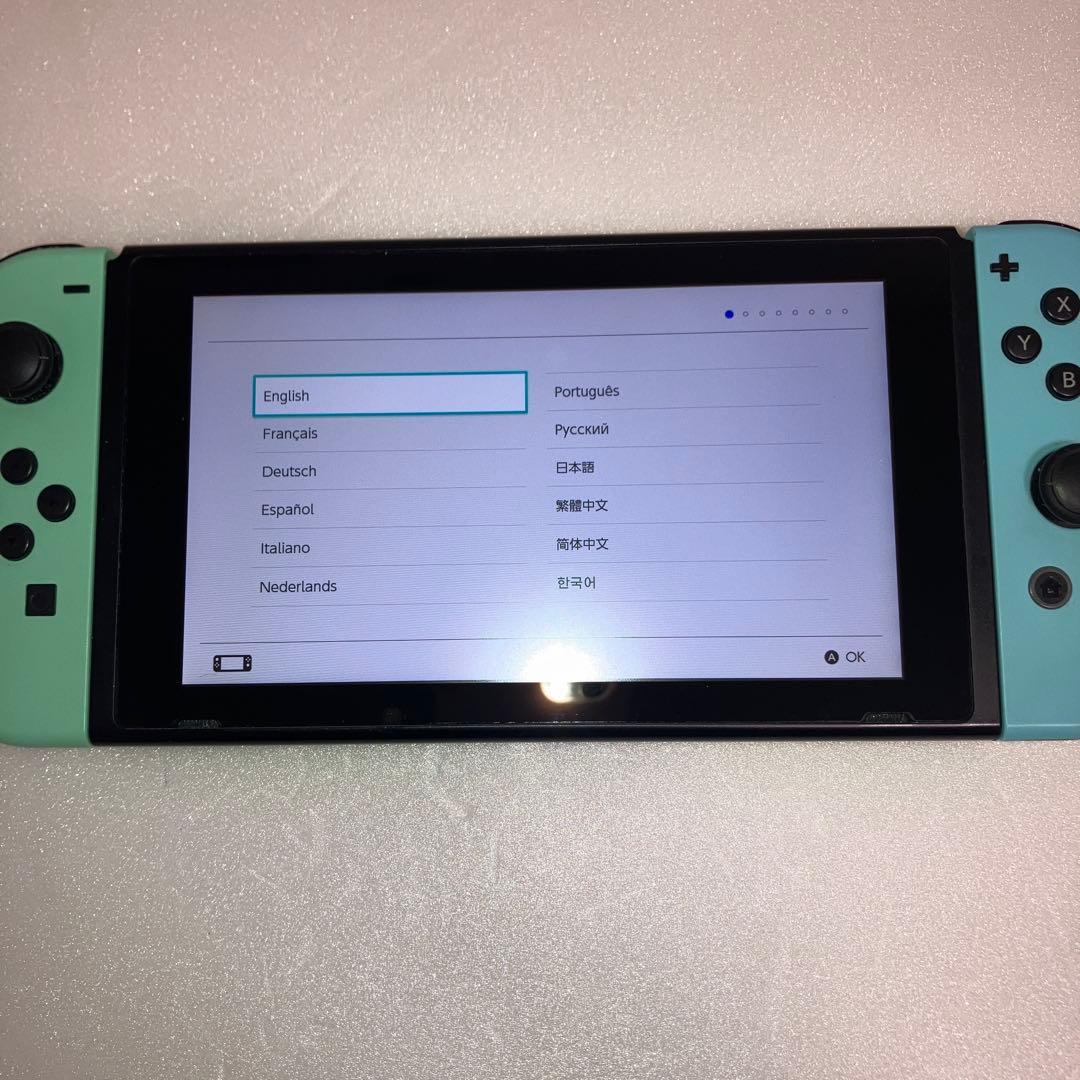 【携帯ケース付】Nintendo Switch あつまれ どうぶつの森セット