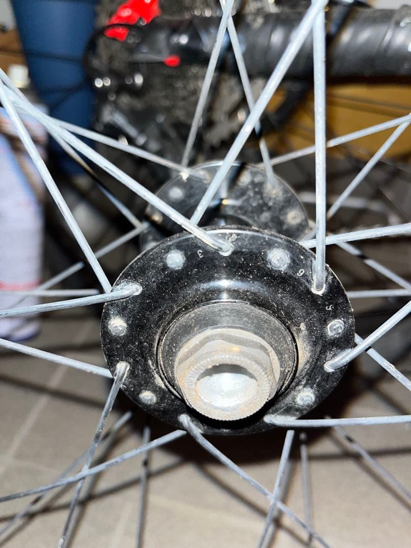 BONTRAGER LINE 40 前