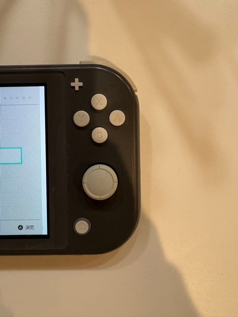 ニンテンドー Switchライト グレー