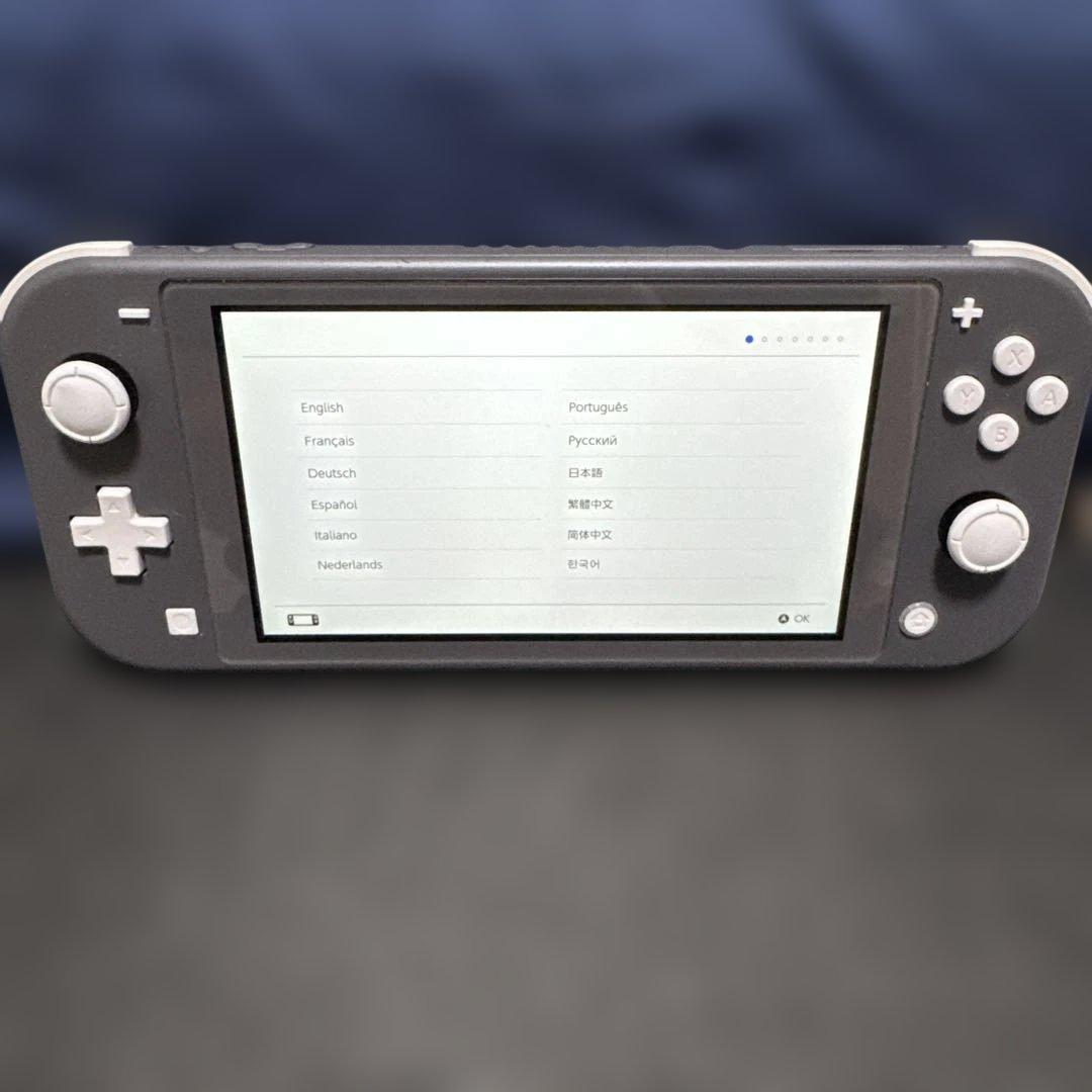 任天堂Switchライト　グレー 本体 ACアダプター付き