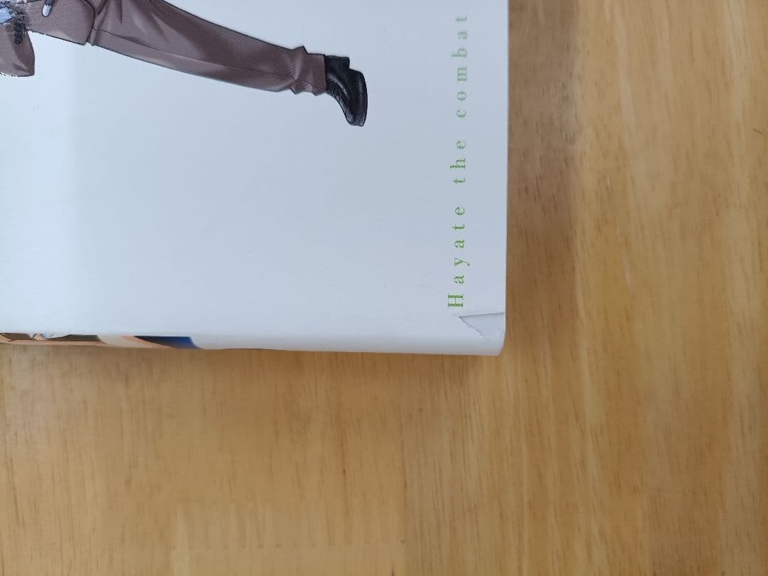 完全版ハヤテのごとく！　1～20巻（19巻無し）　全巻セット