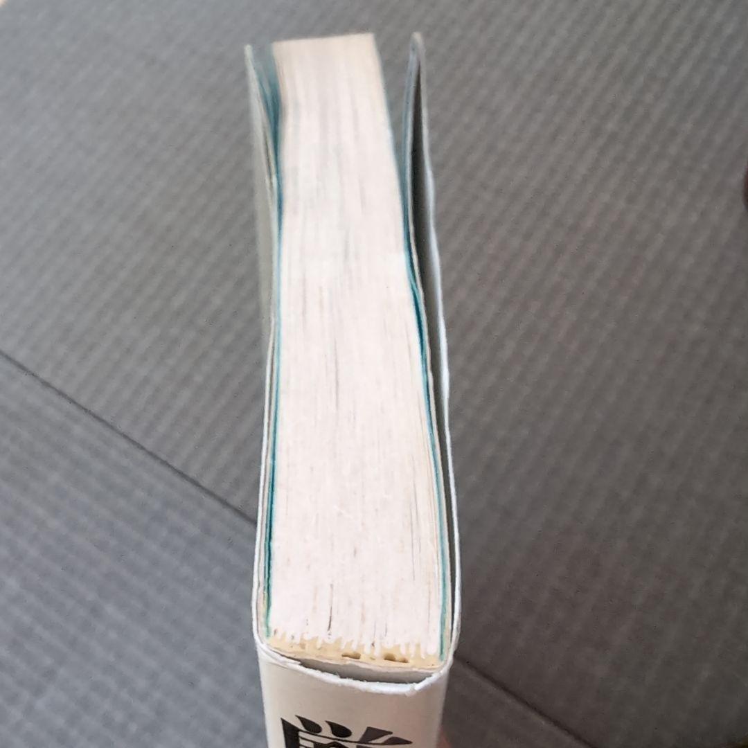 厳新気功学　テキスト