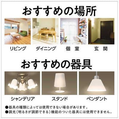 Panasonic LDC5L-E17/C/D/W/2　未使用10個セット