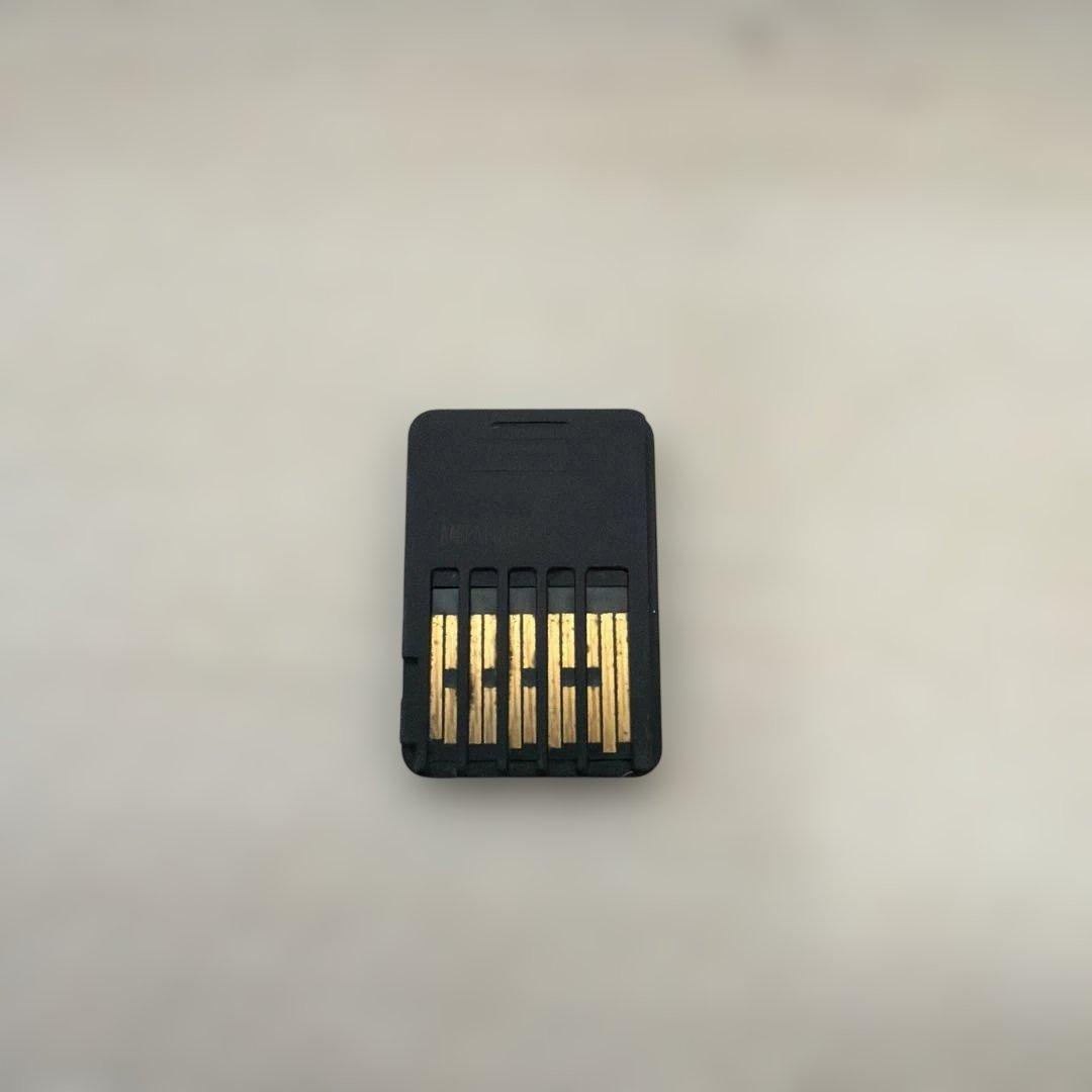 Nintendo Switch Lite ポケモン