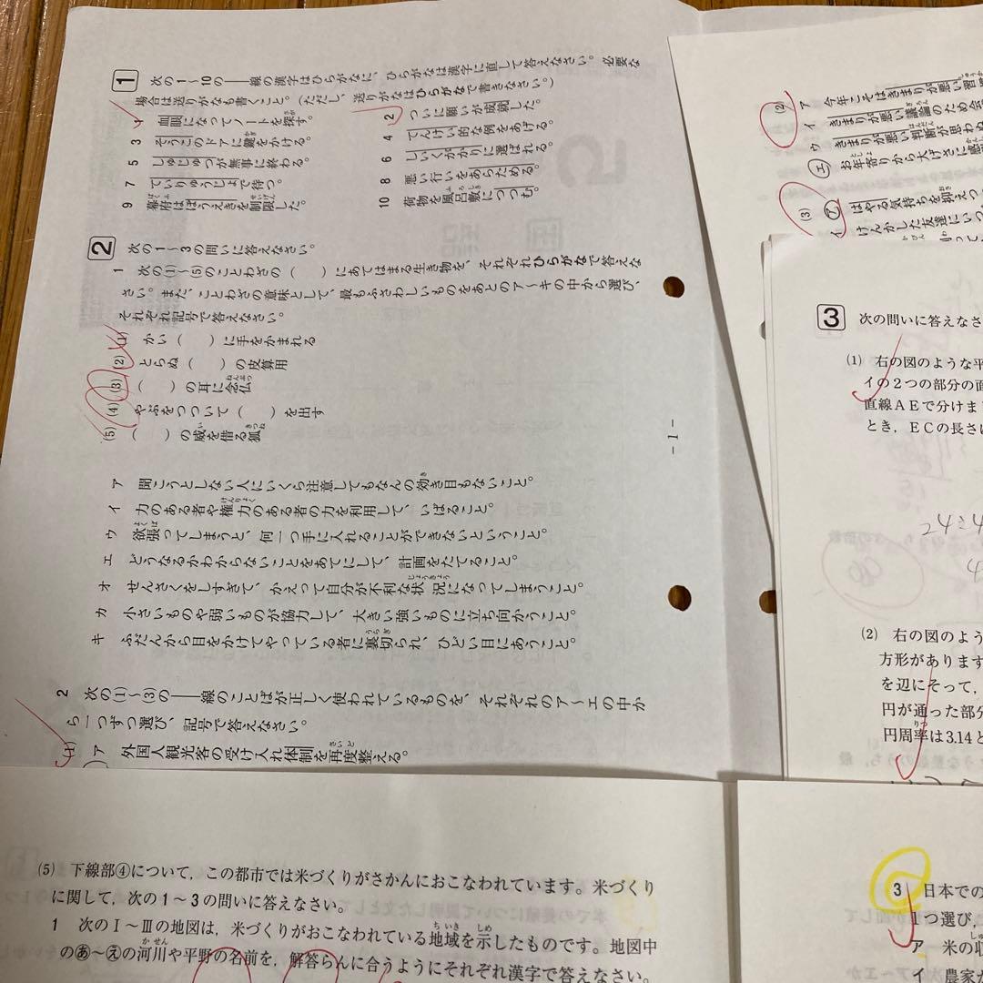 SAPIX5年入室・マンスリー・組分け・復習・サピックスオープン1年分(15回)