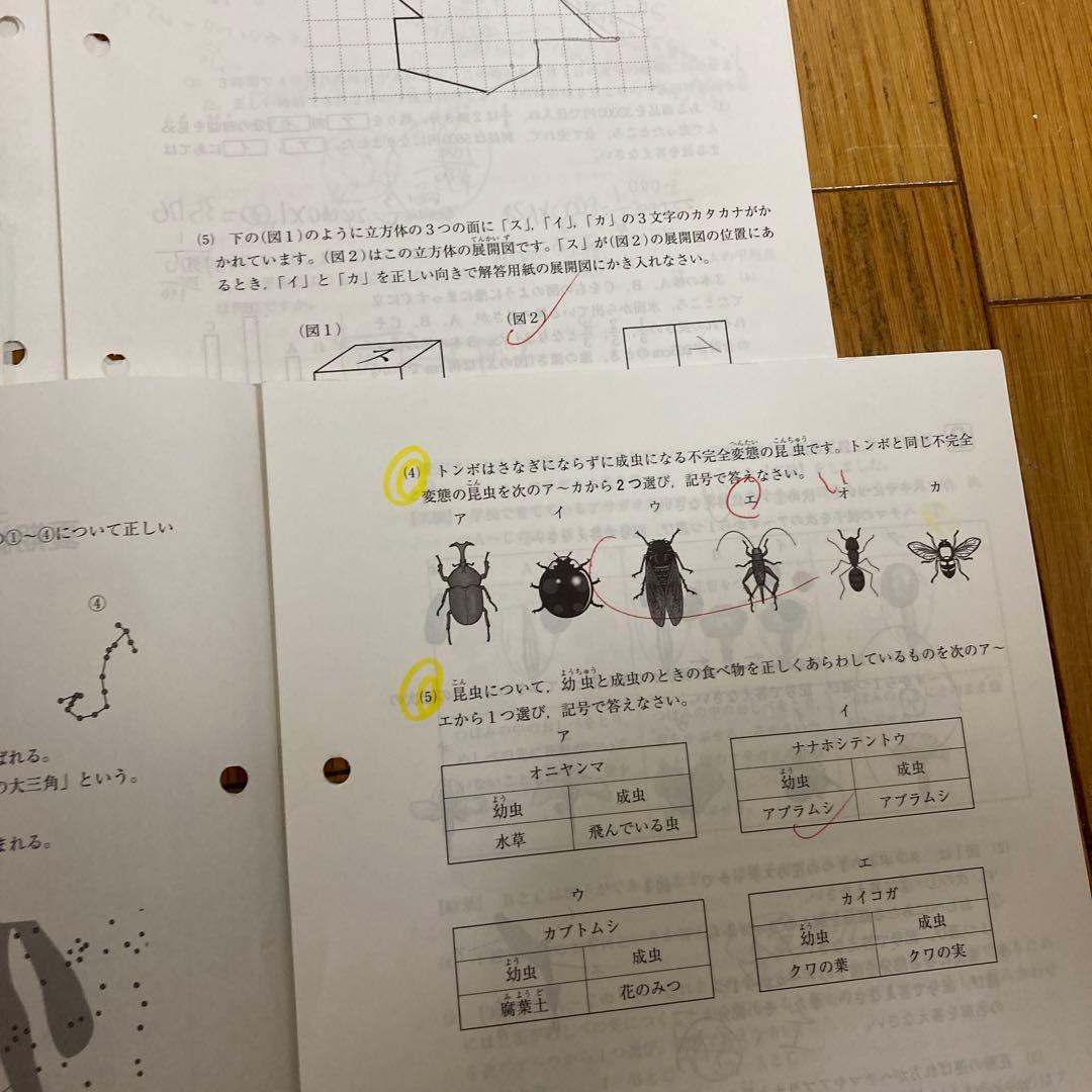 SAPIX5年入室・マンスリー・組分け・復習・サピックスオープン1年分(15回)