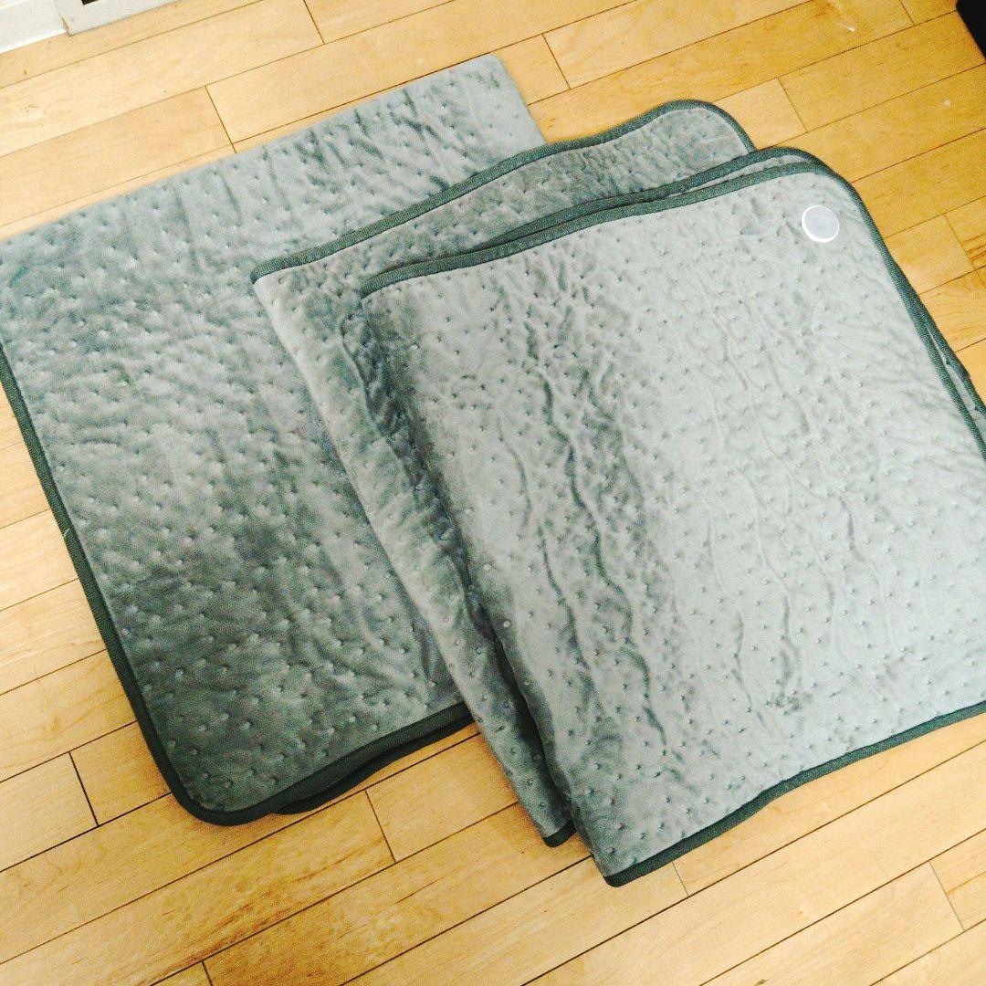 デンバへルス　DENBA Health 旧型 ハイグレード　専用マットのみ（修正