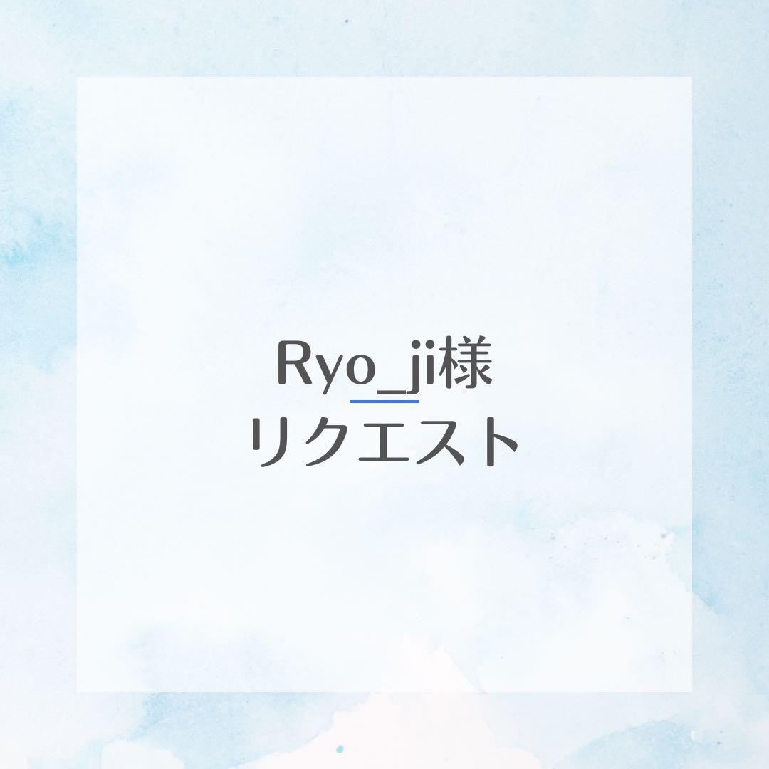 デンバへルス　DENBA Health 旧型 ハイグレード　専用マットのみ（修正