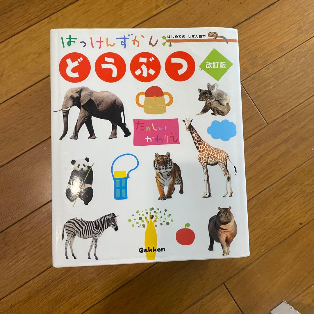 【最終値下】Gakken はっけんずかん・小学館　プレNEO