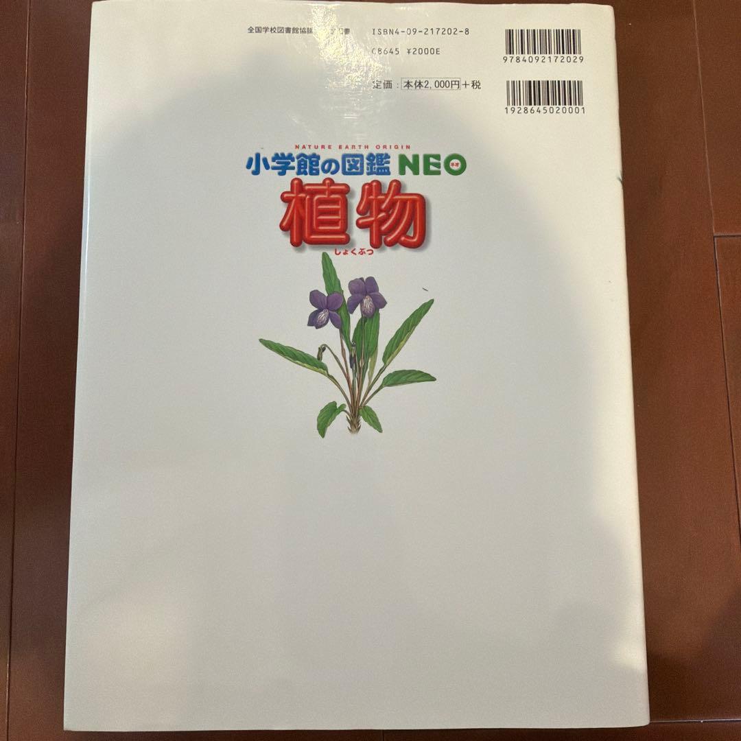 小学館の図鑑NEO 昆虫・恐竜・動物図鑑他
