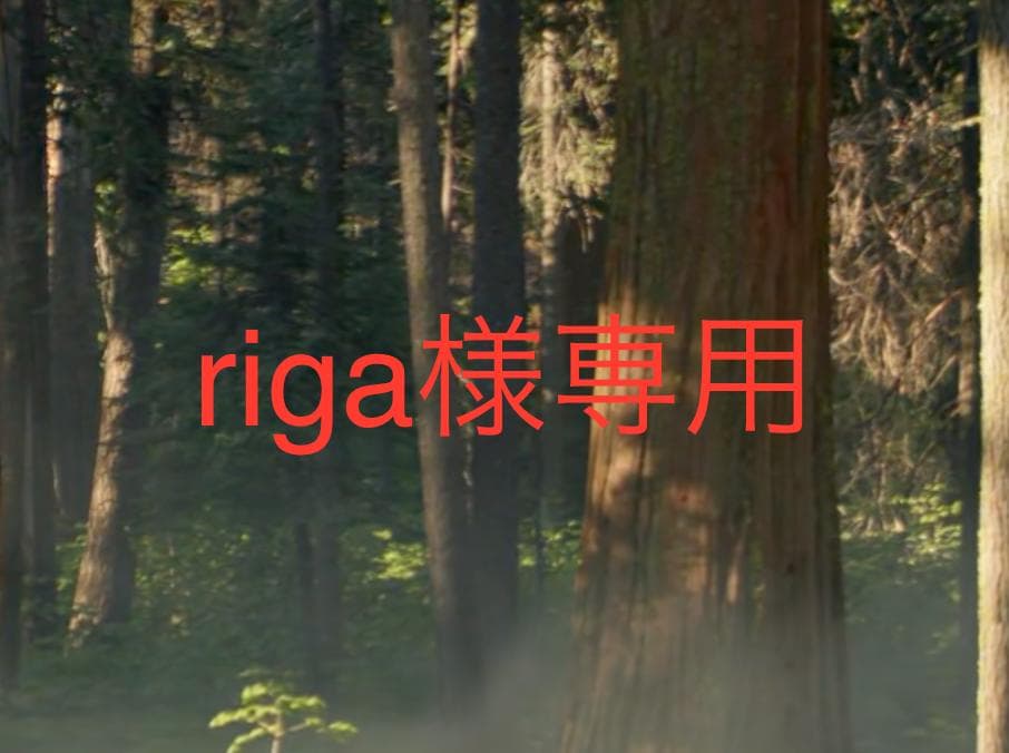 スタイリング剤 riga