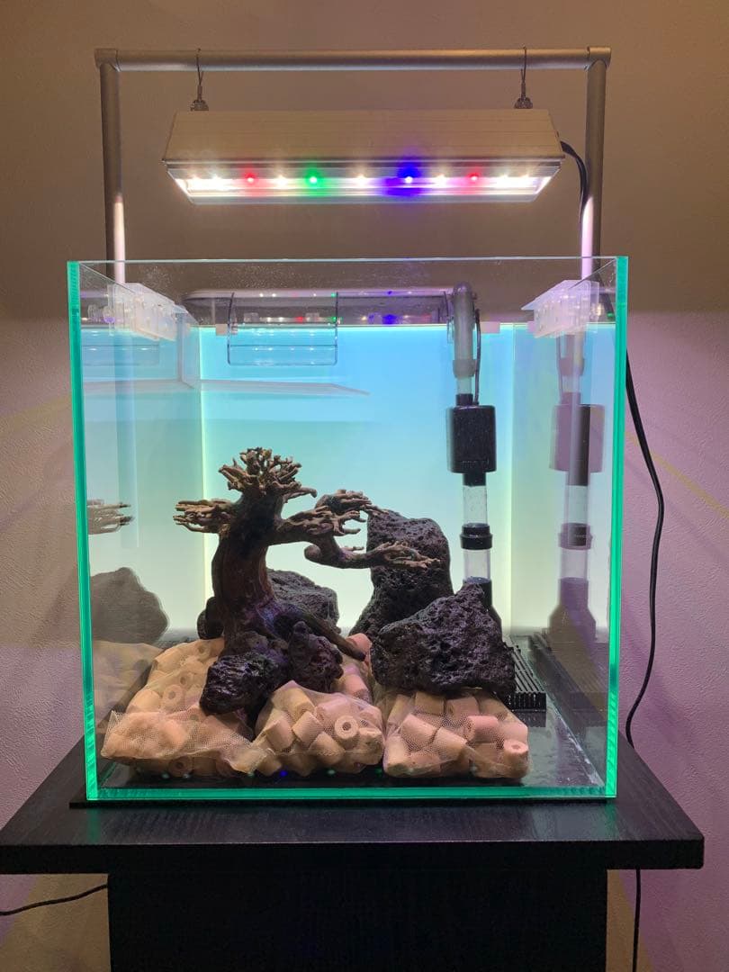 せ*い様 【引き取り限定】30㌢キューブガラス水槽 LEDライト付き 流木と岩の