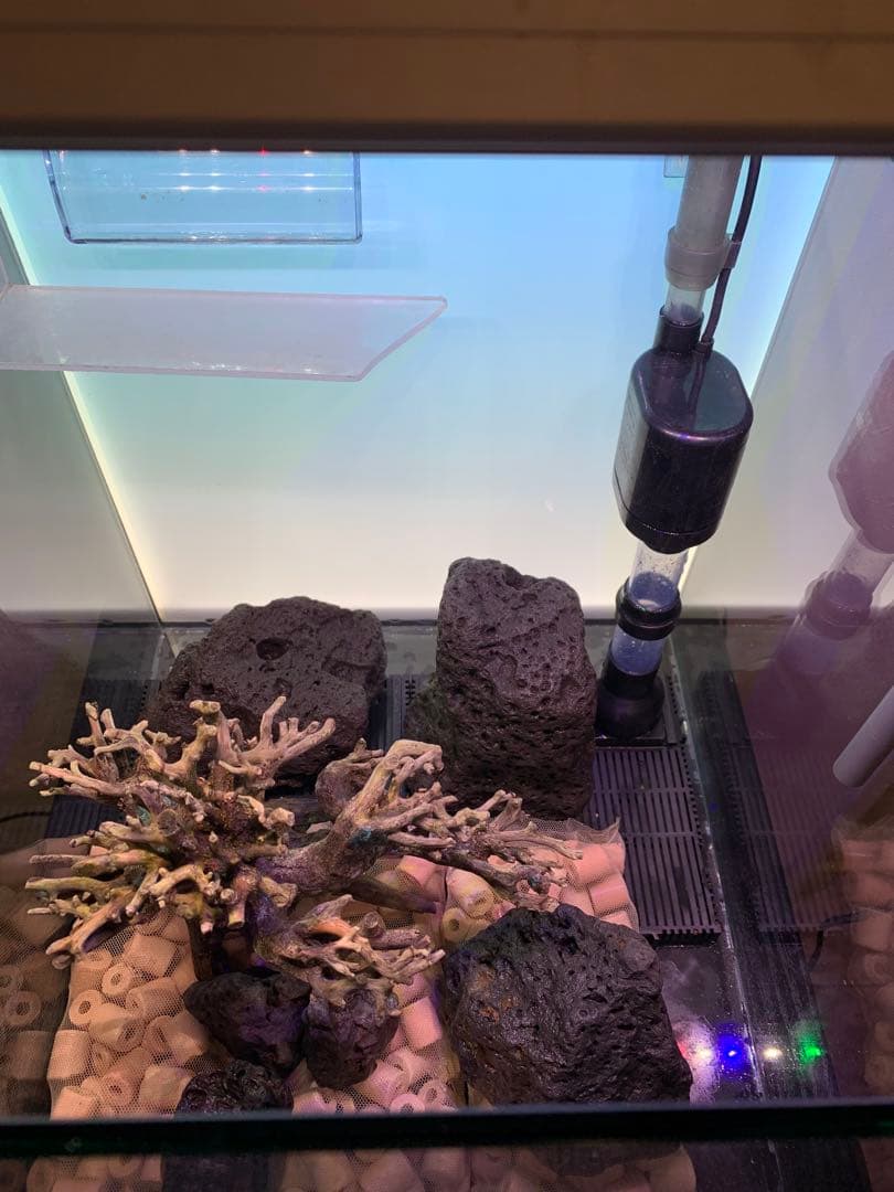 せ*い様 【引き取り限定】30㌢キューブガラス水槽 LEDライト付き 流木と岩の