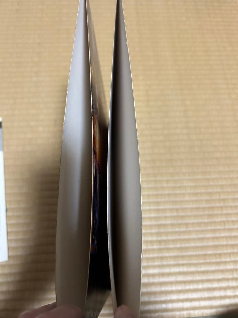 LP アイアンメイデン　死霊復活　2枚組　帯付き　初回限定盤