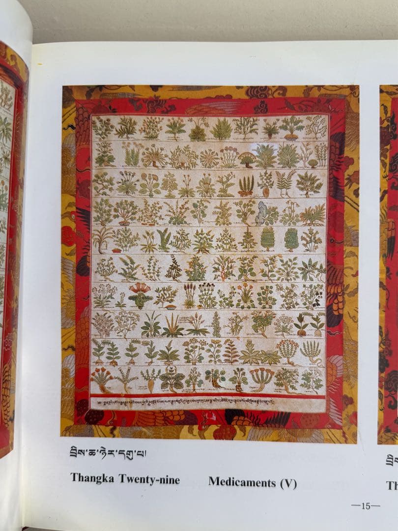希少）チベット　医学書　ヴィンテージ　大型本　ヨガ　瞑想　健康