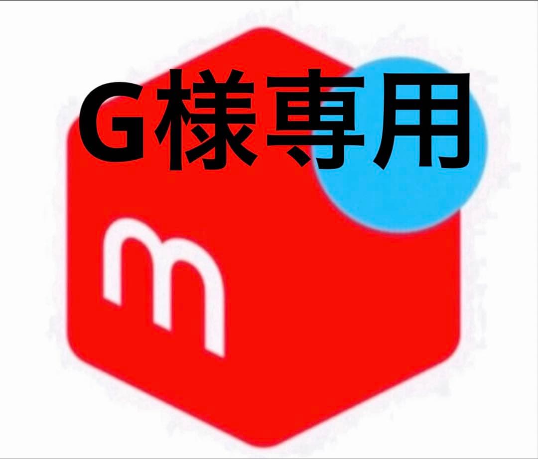 その他 G