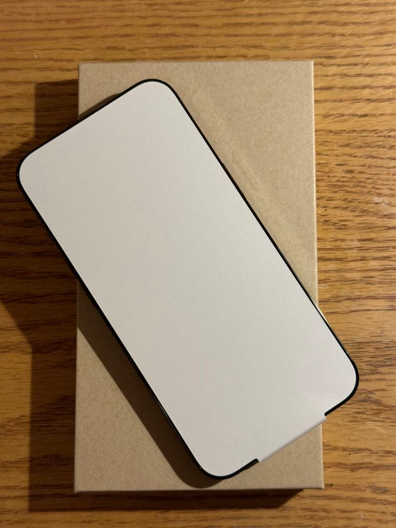 【新品未使用 AppleCare+付き】iPhone13 Pro 256GB