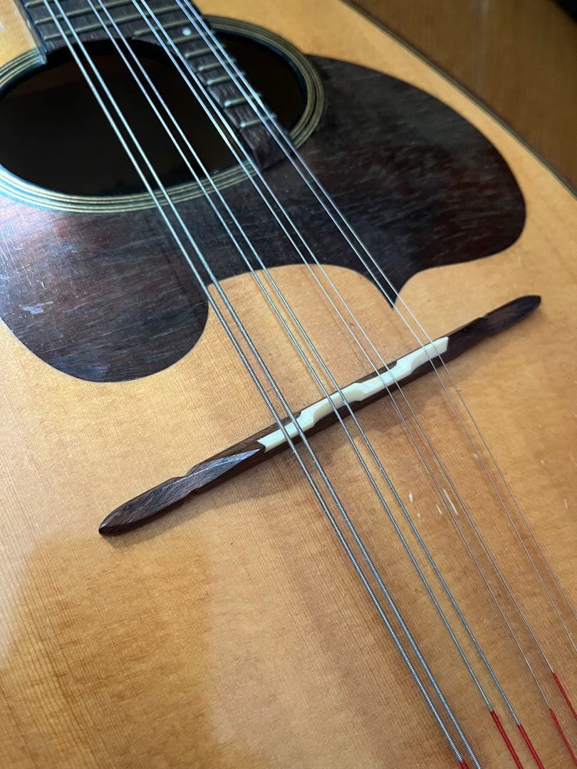 SUZUKI　マンドリン　M-30　 ハードケース付