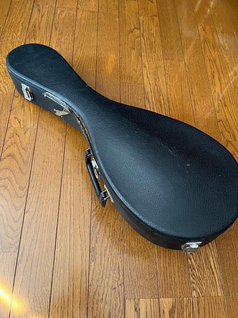 SUZUKI　マンドリン　M-30　 ハードケース付