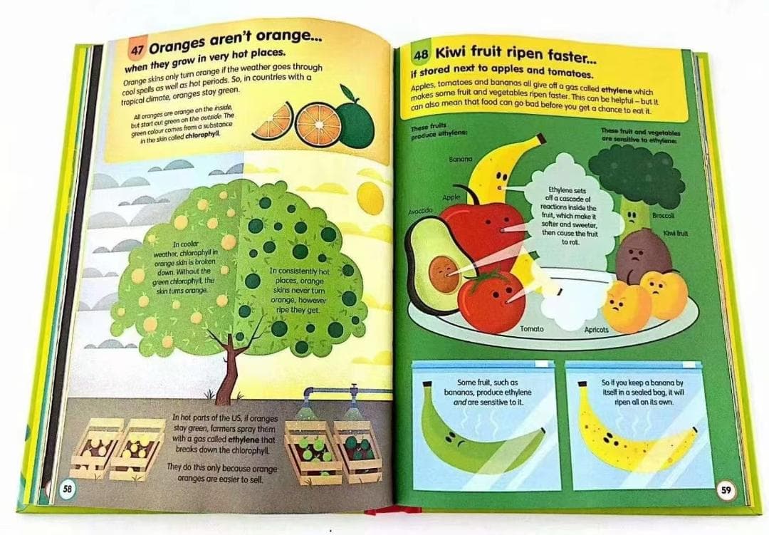 新品 100 Things to Know About 11冊 洋書 英語絵本