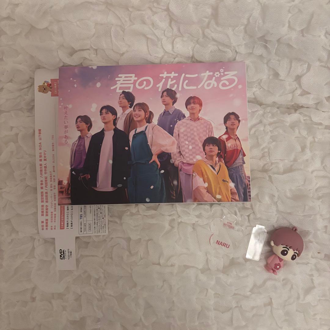 君の花になる DVD-BOX (7枚組)