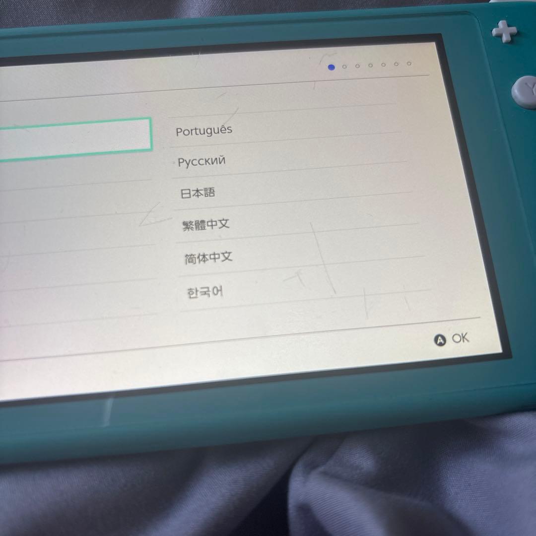 専用 Nintendo Switch Lite ターコイズ あつまれどうぶ