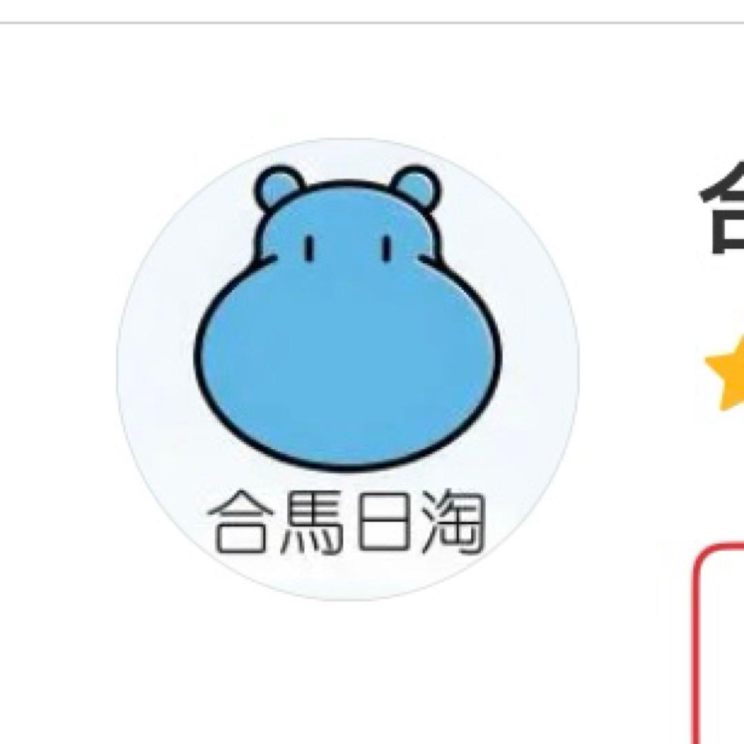 専用 Nintendo Switch Lite ターコイズ あつまれどうぶ