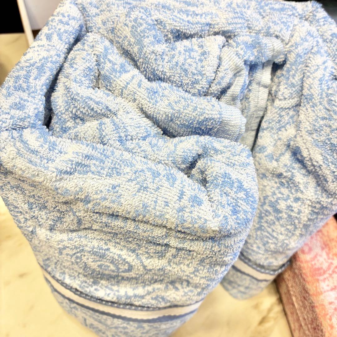 CELINE セリーヌ タオルケット 2枚