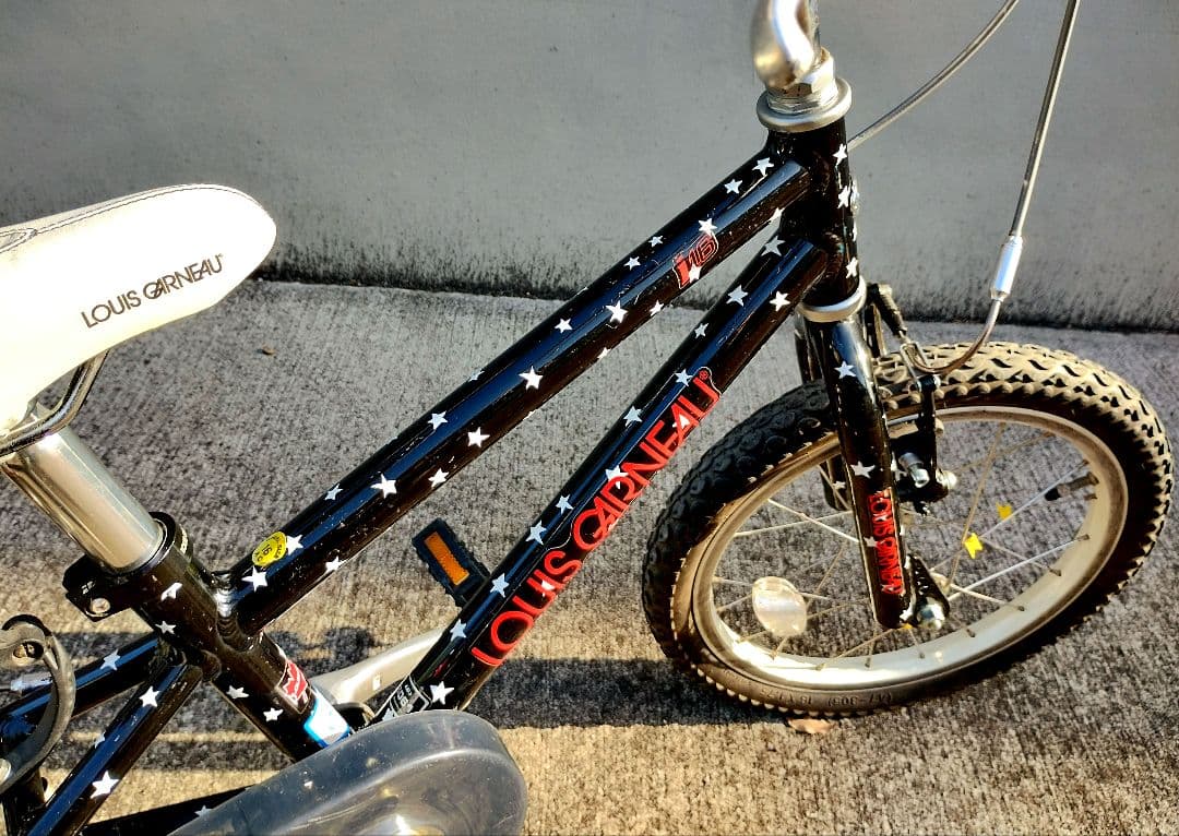 【限定カラー】LOUIS GARNEAU キッズバイク（16インチ）
