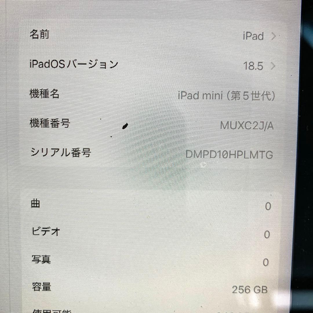ジャンク　iPad mini 第５世代　Wi-Fi＋Cellular 256GB
