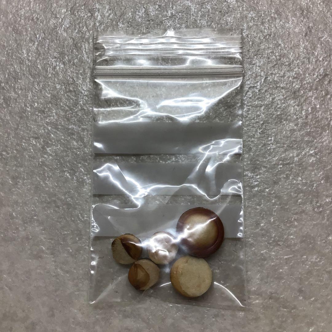 (47) YAMAHA ヤマハ　B♭クラリネット YCL-452 美品