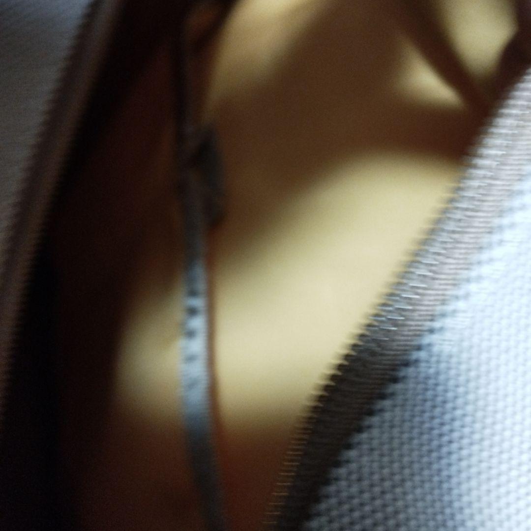 スワニー　ピーターラビット刺繍付きキャリーケース