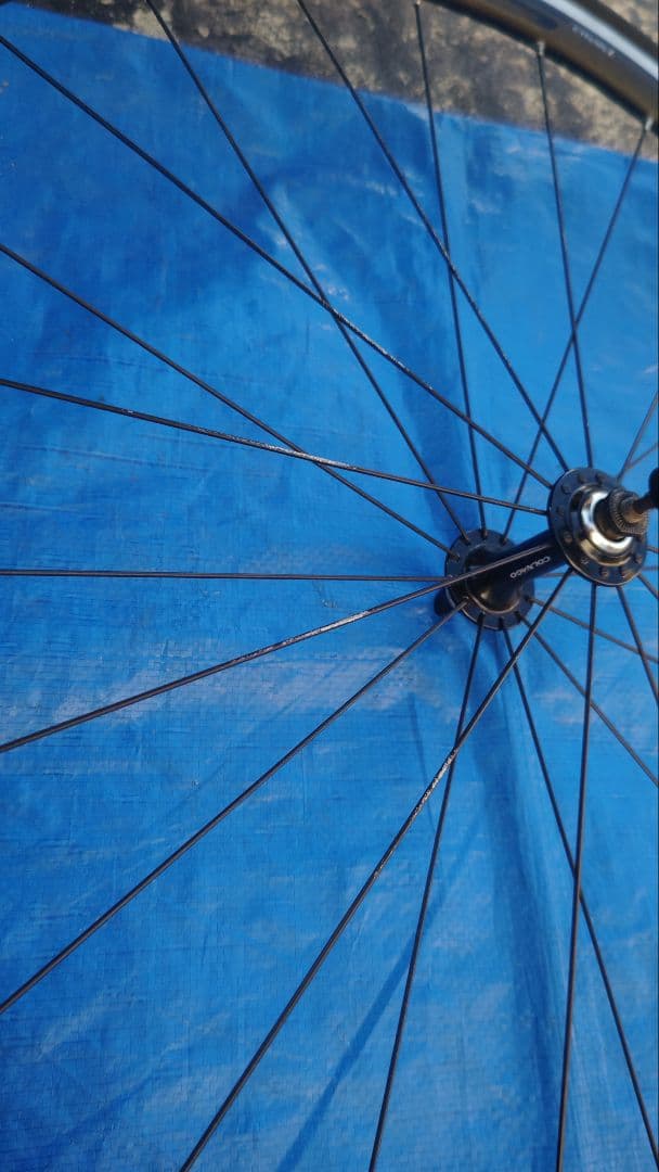 美品COLNAGO完組ホイール 11S互換 2本セット