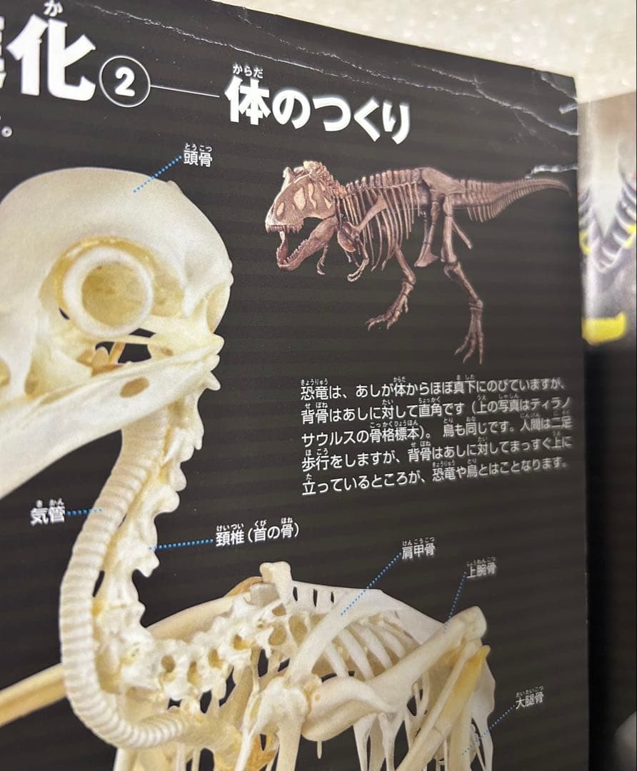 小学館の図鑑NEO まとめ売り