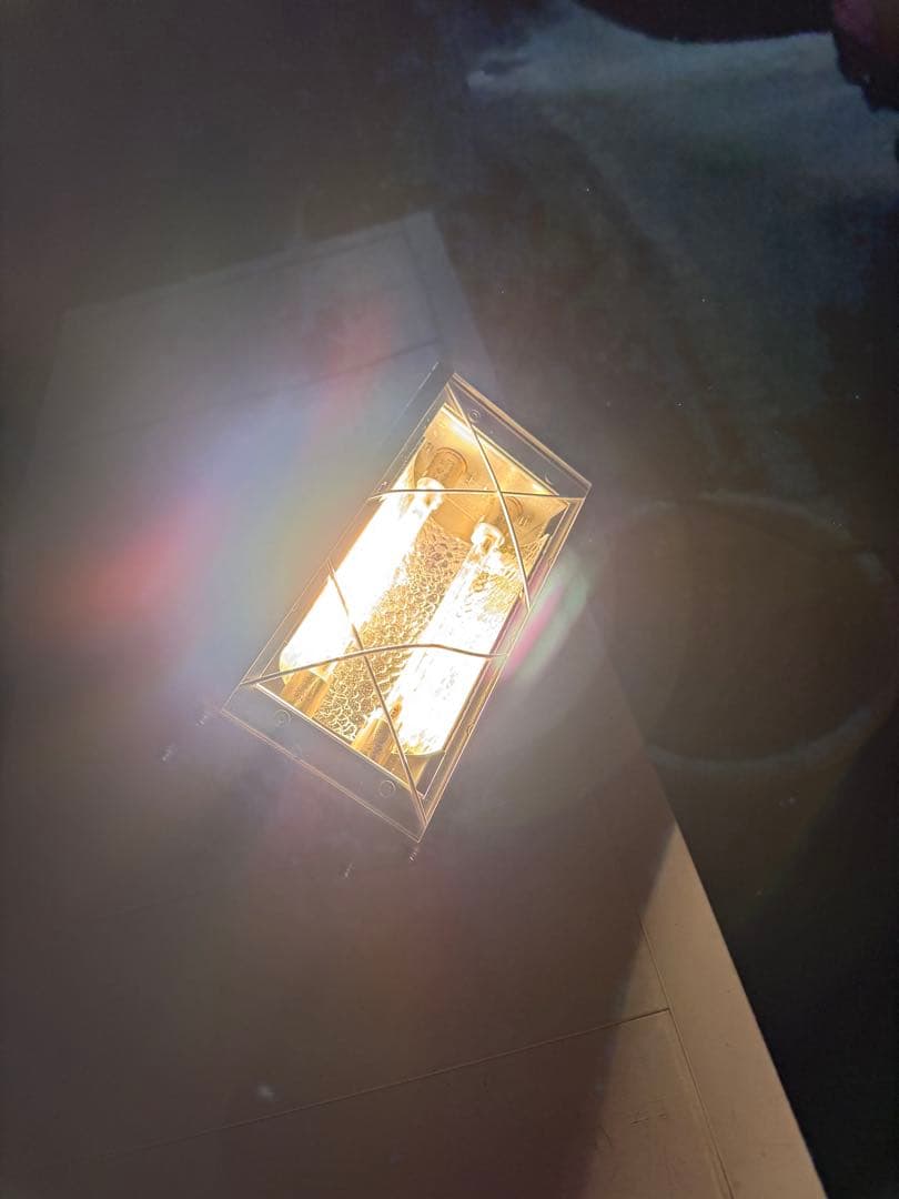 スキー　ハロゲンワクサー　カンダハー