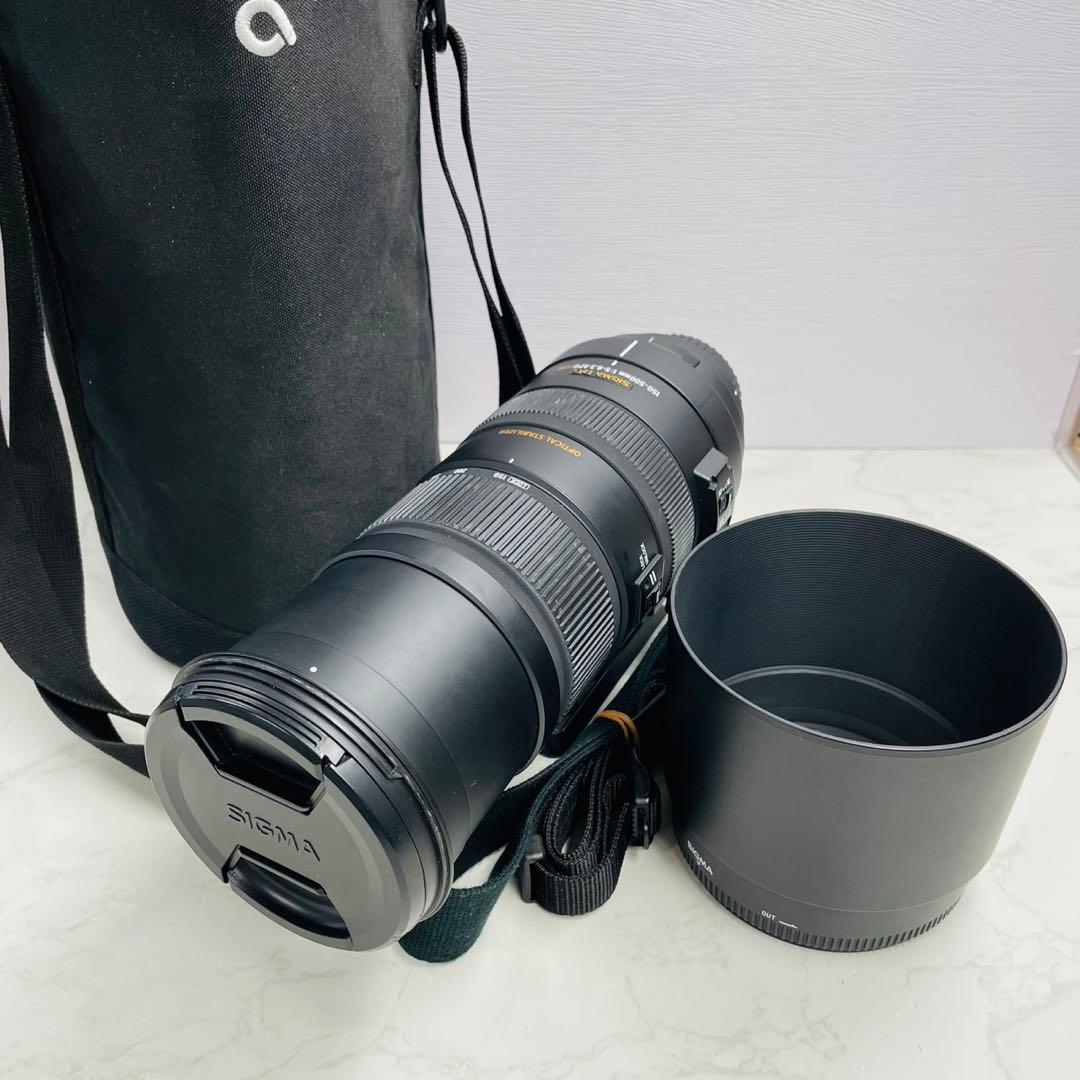 SIGMA シグマ APO 150-500mm F5-6.3 DG OS HSM