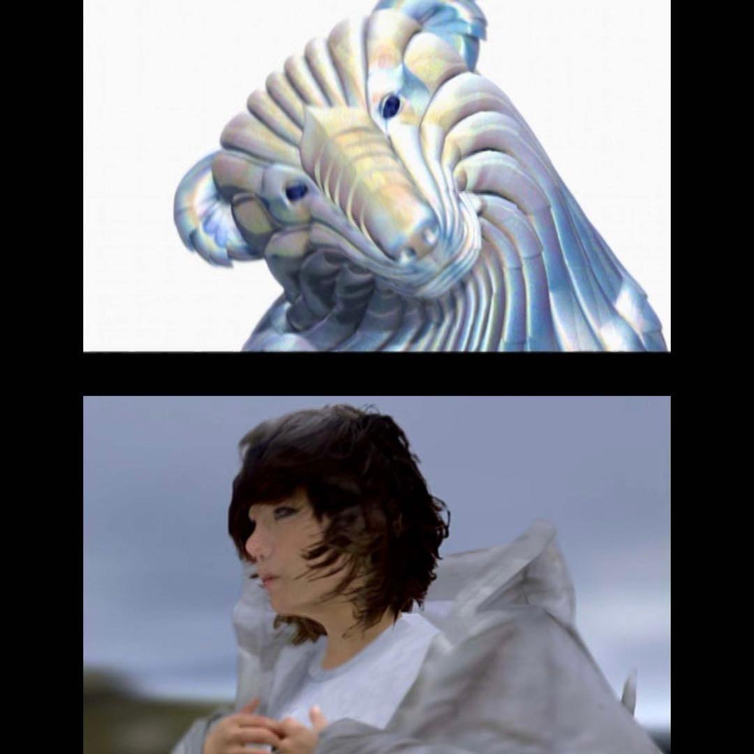 ビョーク / ホモジェニック デュアルディスク盤 CD DVD