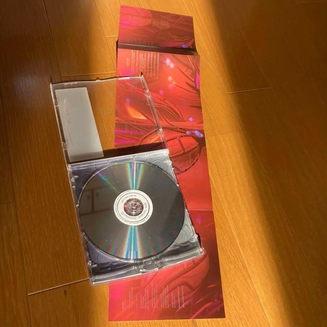 ビョーク / ホモジェニック デュアルディスク盤 CD DVD