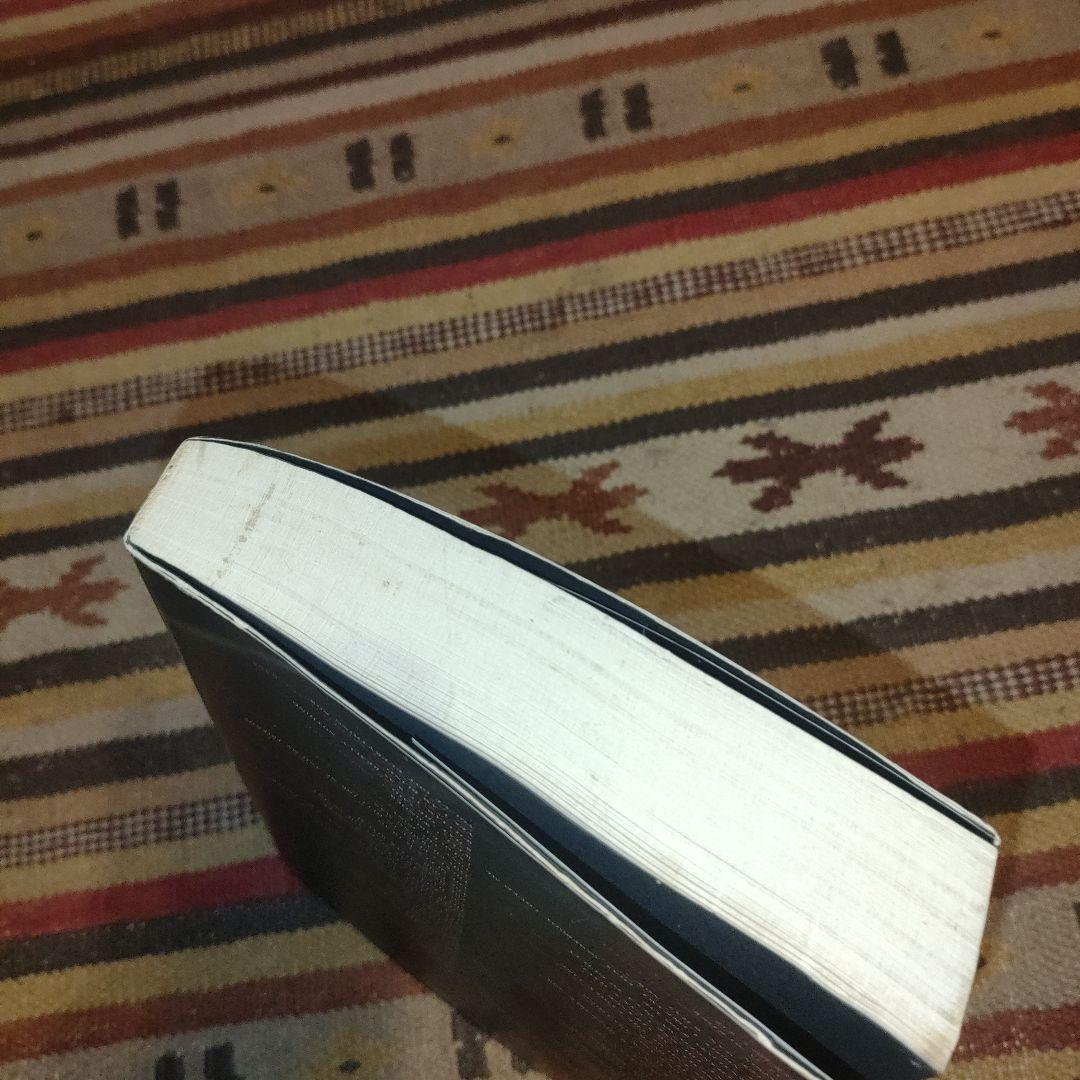 モリッシー詩集 中川五郎訳 1992年