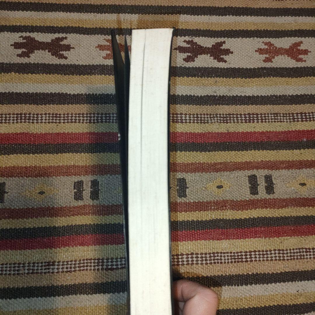 モリッシー詩集 中川五郎訳 1992年