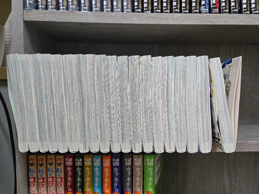 薬屋のひとりごと～猫猫の後宮謎解き手帳～ 19巻セット