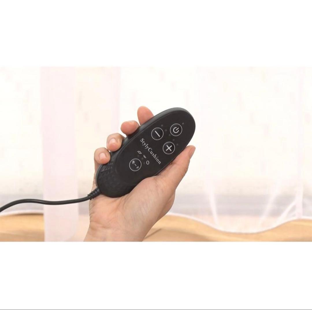 フィットネスクラブが作った スタイリークッション 筋トレ お腹 EMS