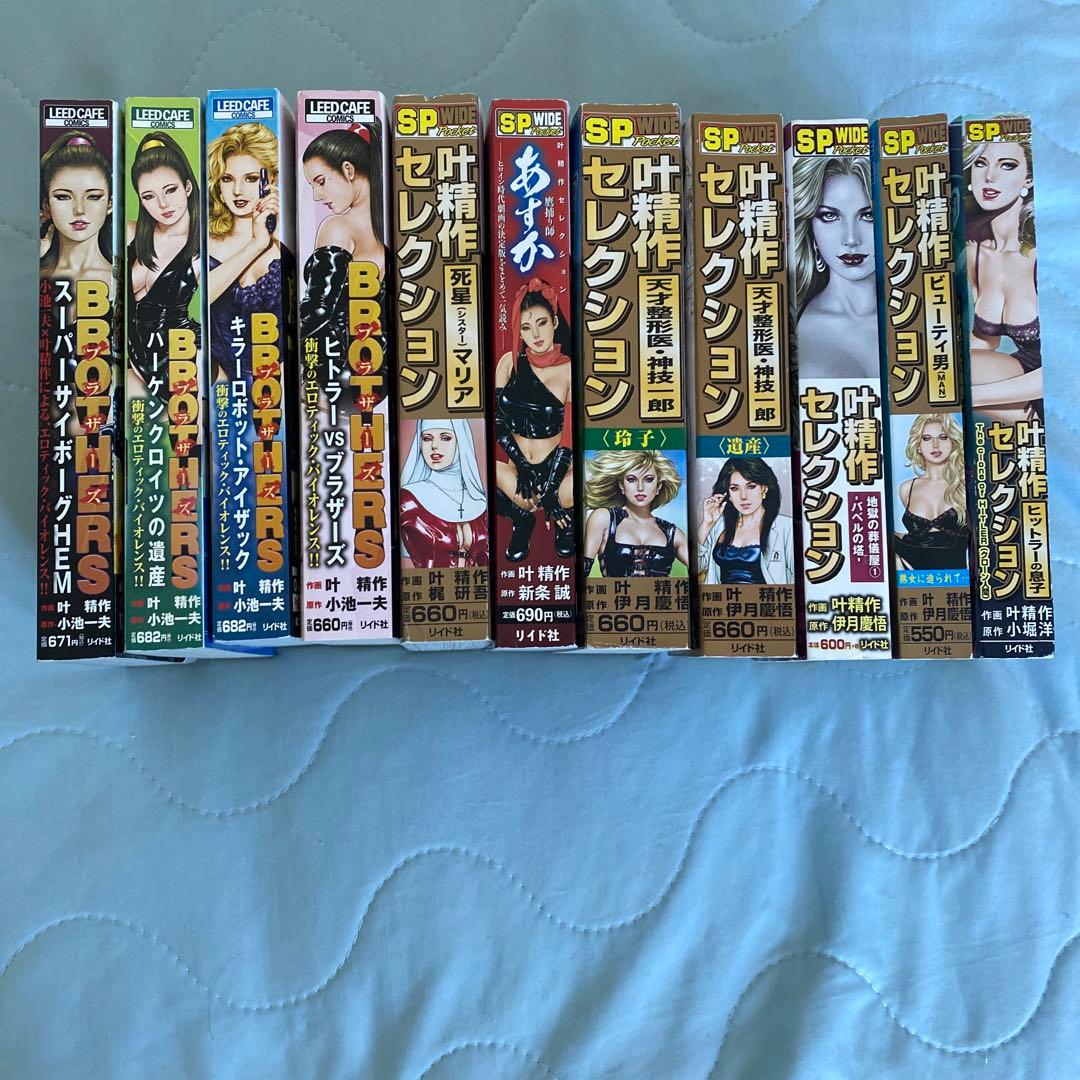 叶精作セレクション 死星(シスター)マリア　全11冊セット販売‼️