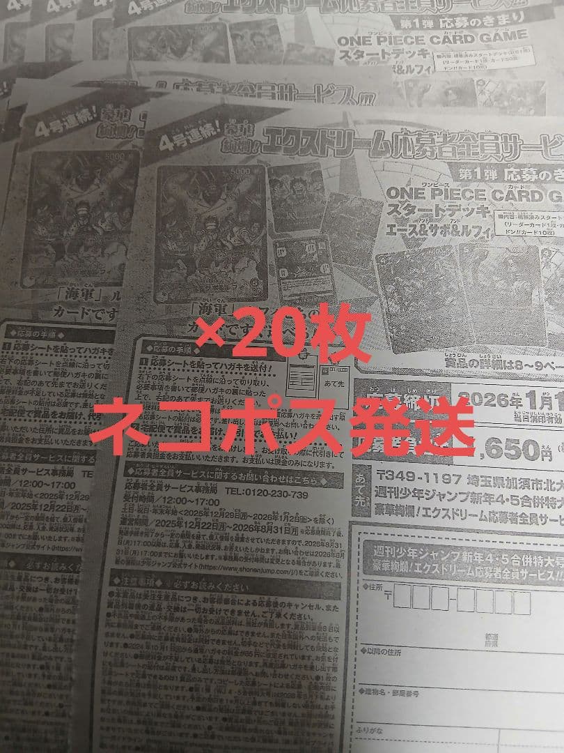 エース&サボ&ルフィ20セット応募用 週刊少年ジャンプ 【新年4•5合併特大号】