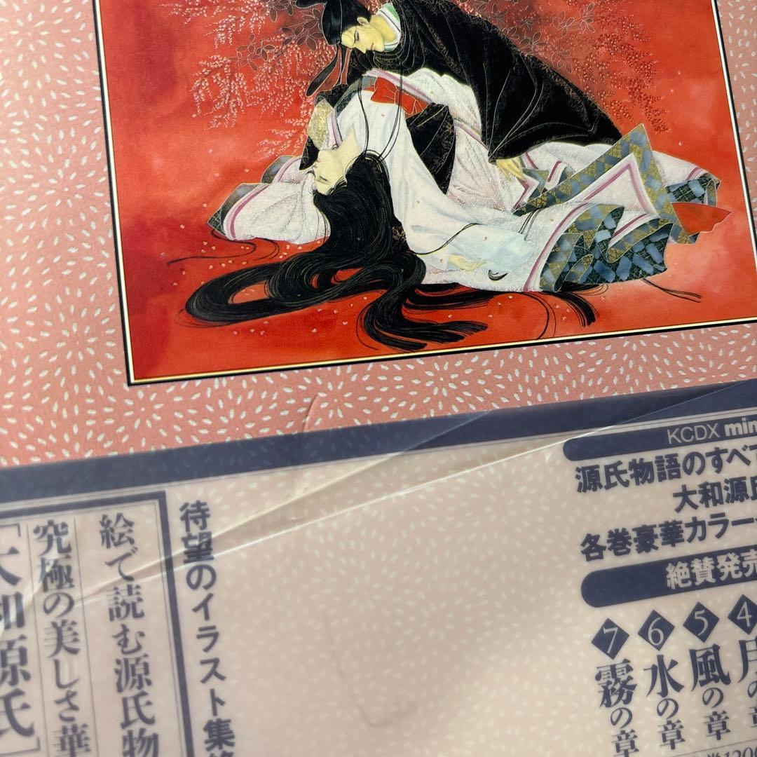 源氏物語 あさきゆめみし ワイド版 デラックス版 全巻 大和和紀【初版本】