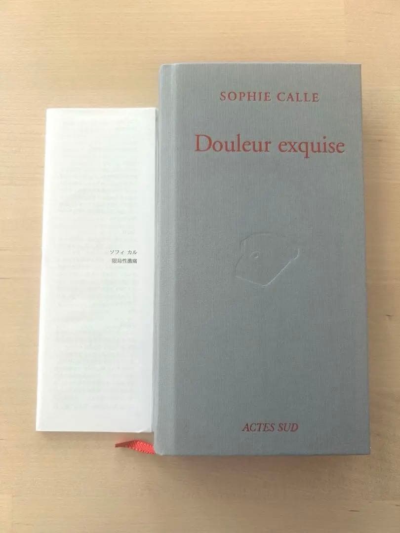 ソフィ・カル作品集 『限局性激痛』 原美術館制作による邦訳冊子付き