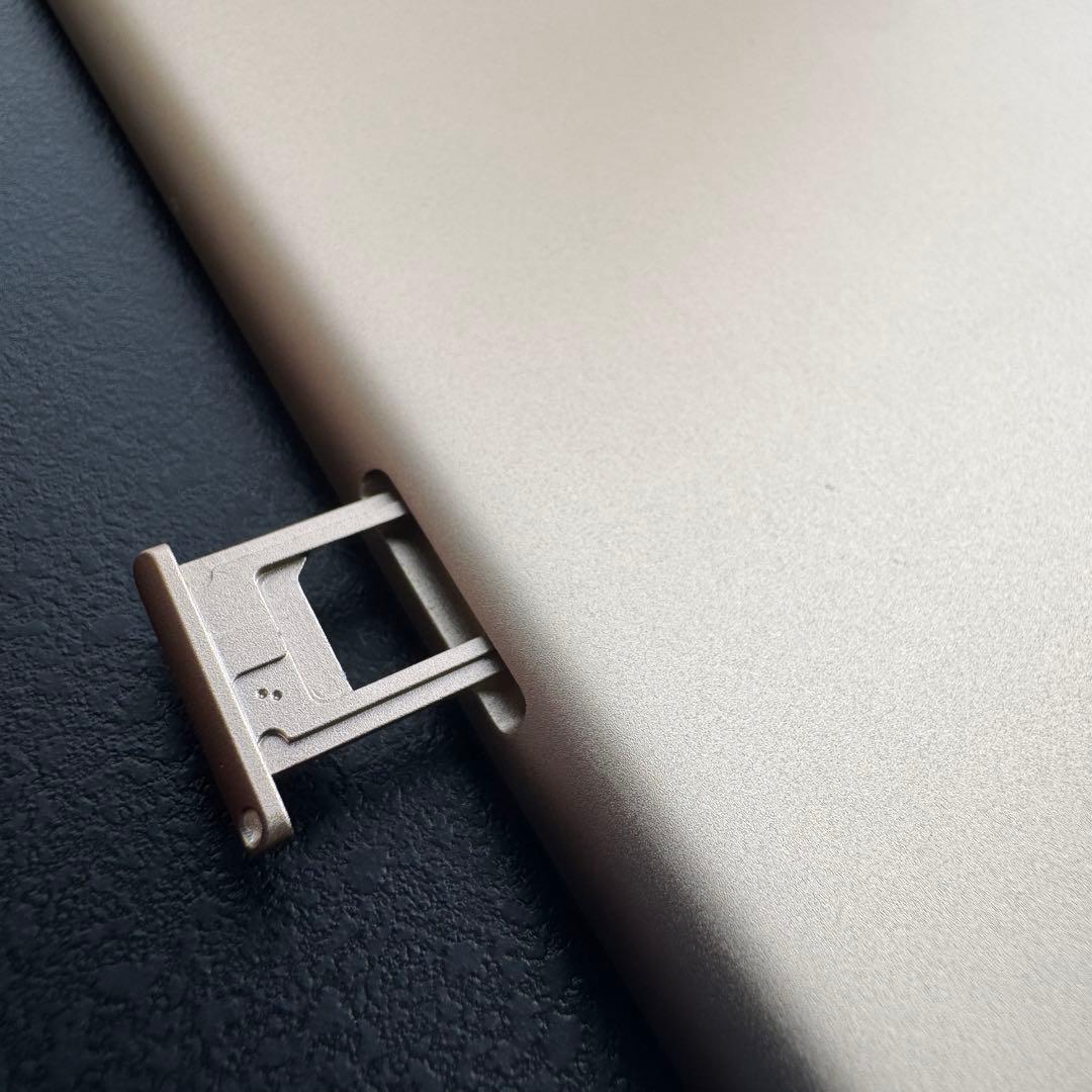 匿名発送 iPad Air2 16GB Wi-Fi Cellular オマケ付