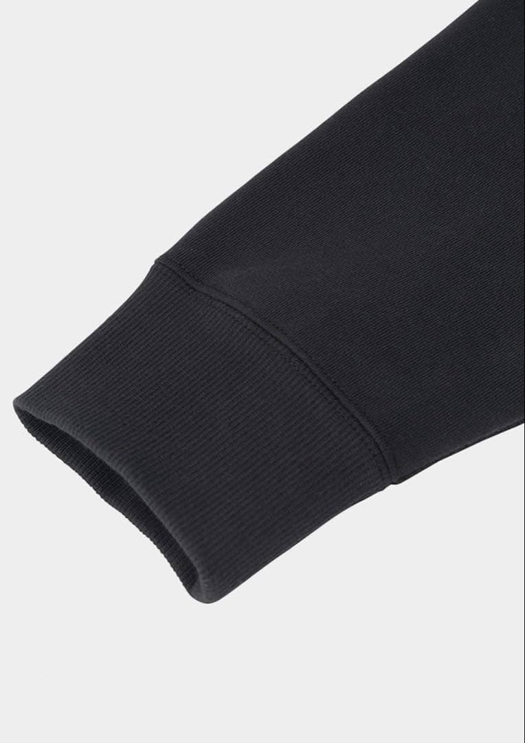 【残り僅か】THE NORTH FACE リアビューフルジップフーディ L