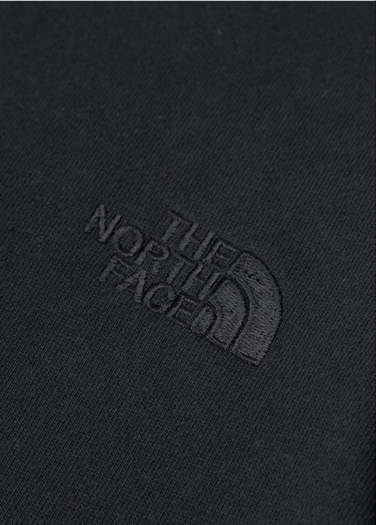 【残り僅か】THE NORTH FACE リアビューフルジップフーディ L